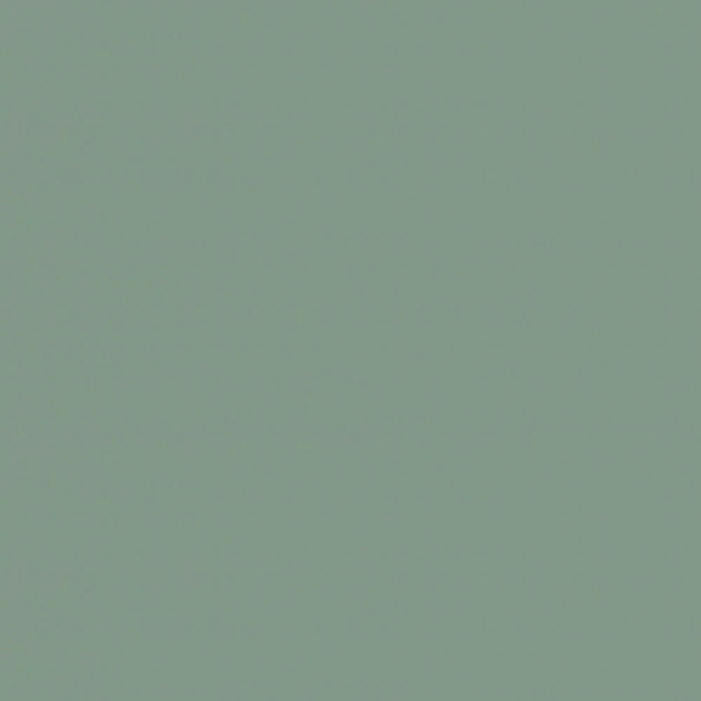 Soft Touch Mint