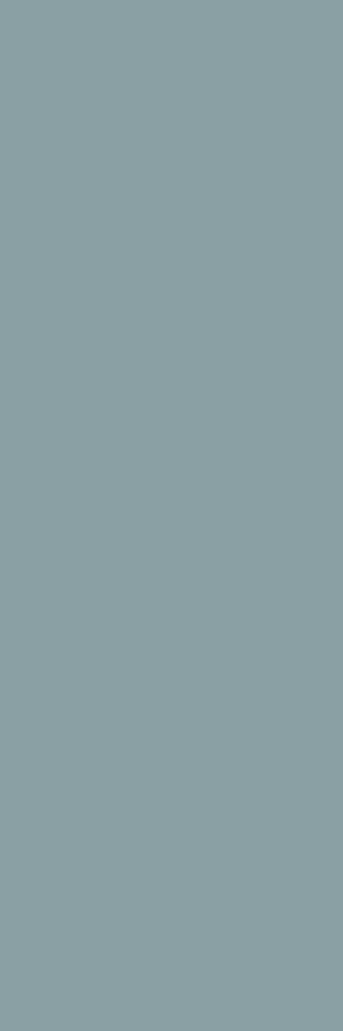100x300 SOLID LIGHT Gri mat 3 MM rectificat