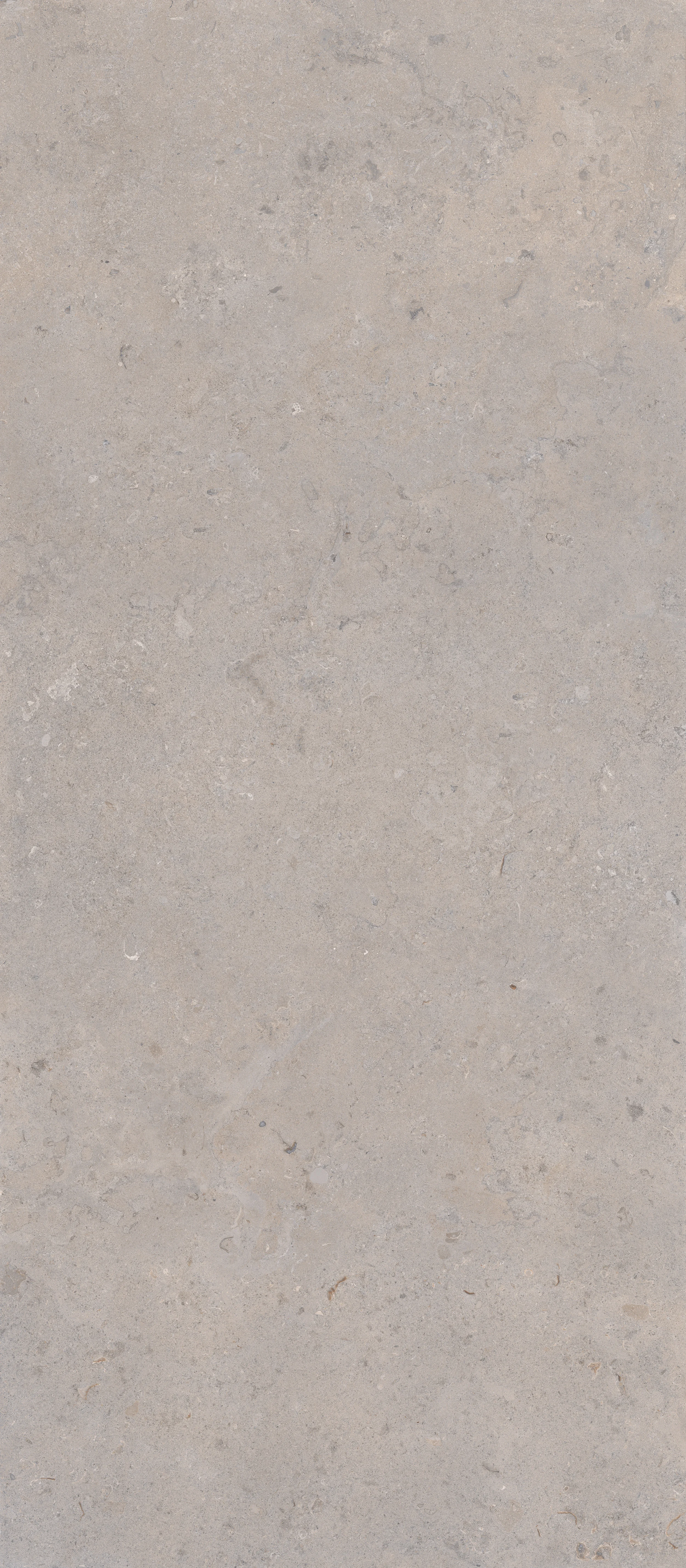 120x280 TALORA Gri DF mat 6 MM rectificat