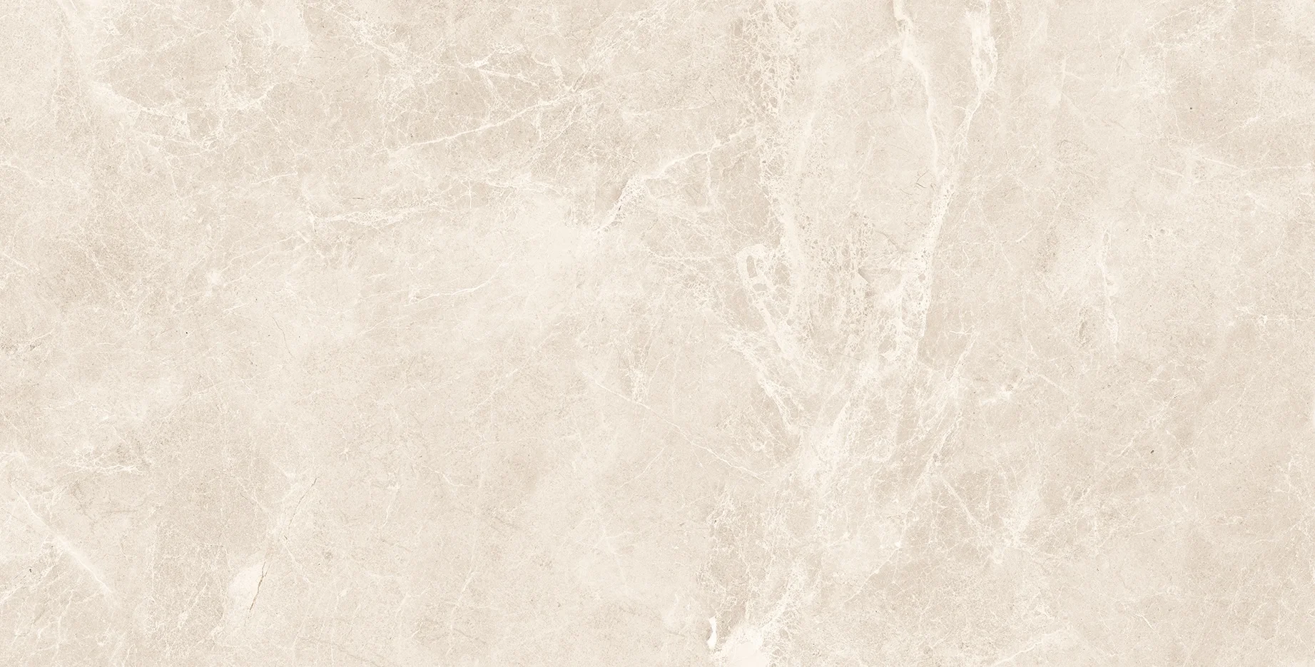 60x120 SWAN BONE rectificat lustruit NANO