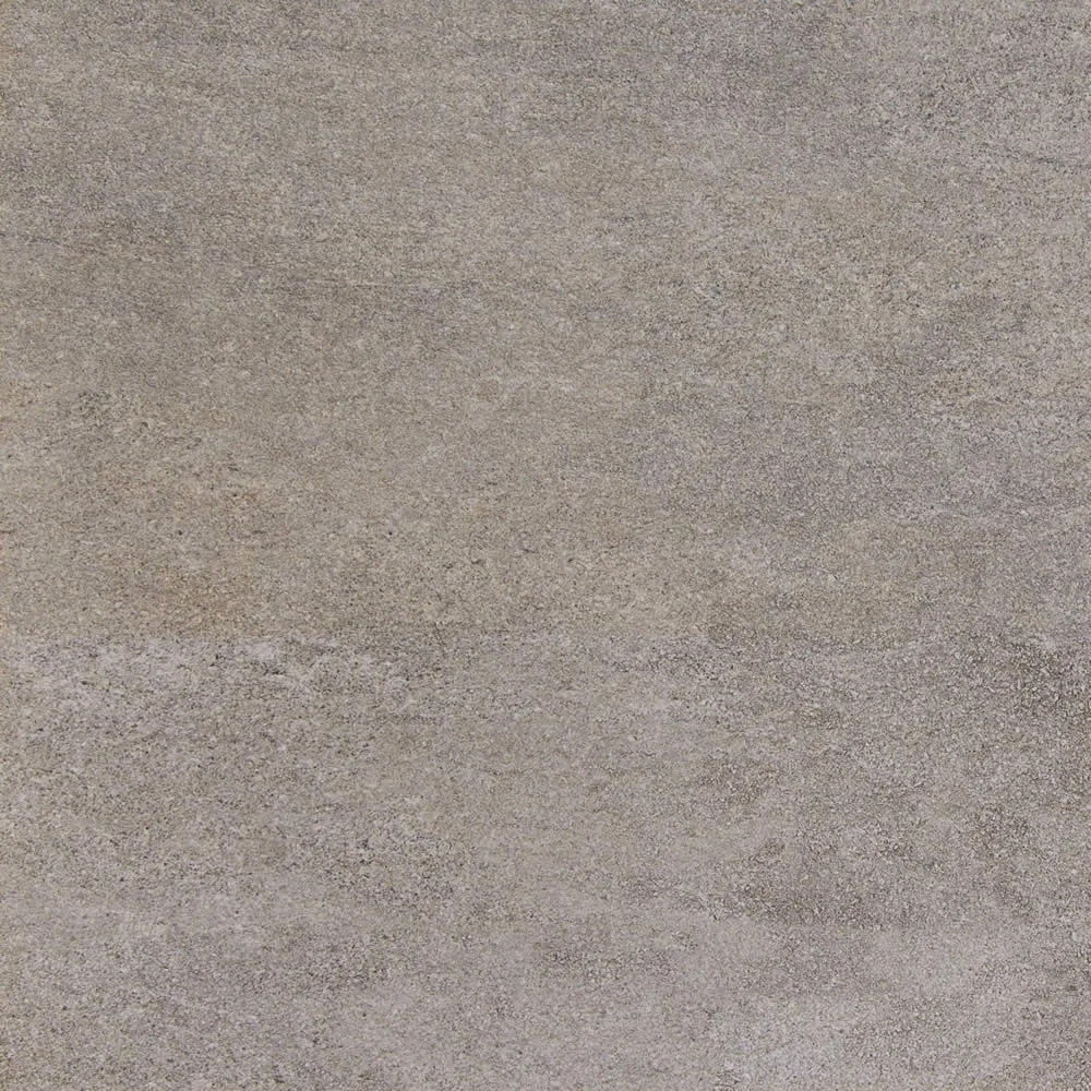 LEONARDO Gri rectificat