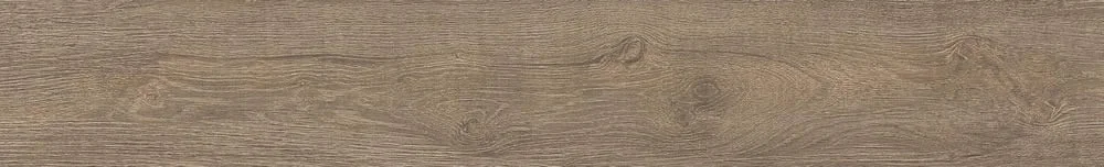 SEDIR OAK