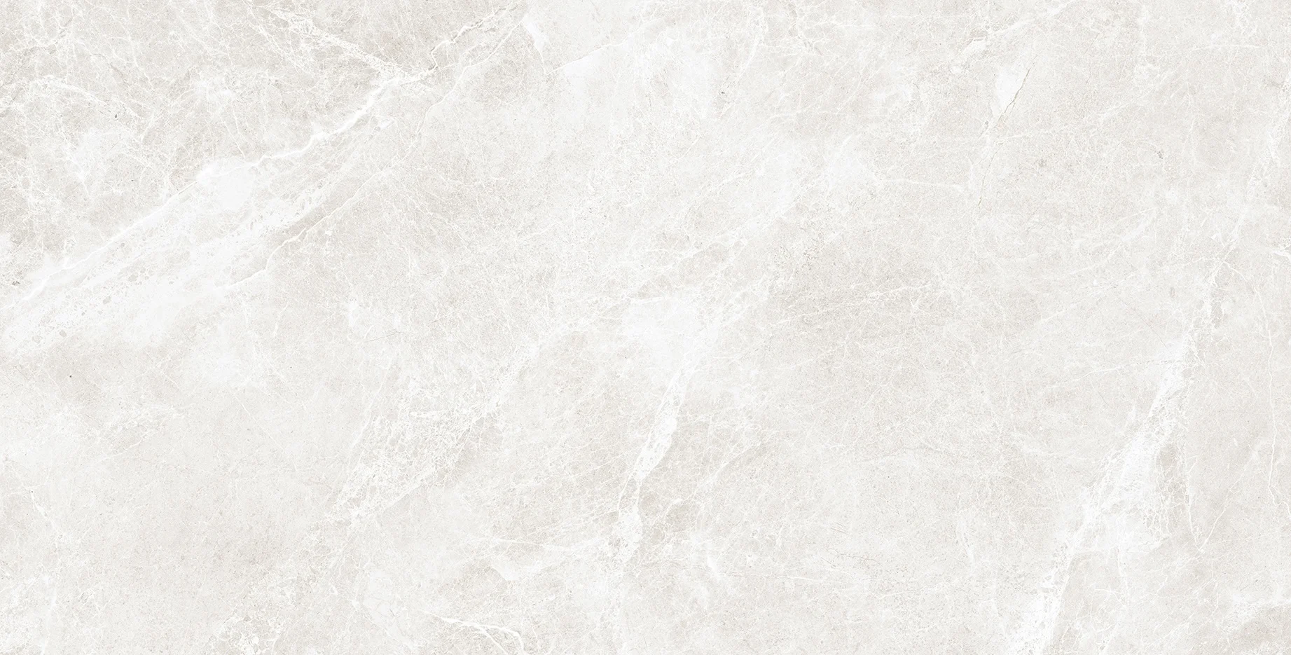 SWAN LIGHT Gri rectificat HG LAPPATO